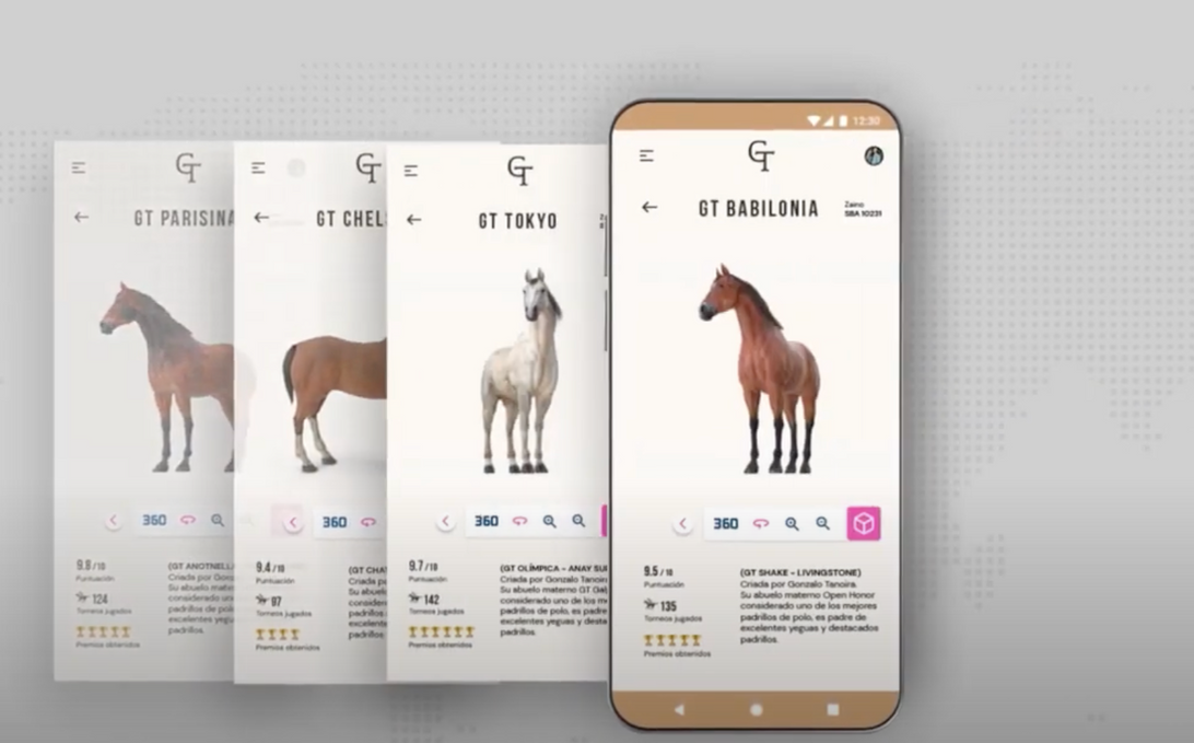 Blockchain implemented for horse breeding. Gtoken